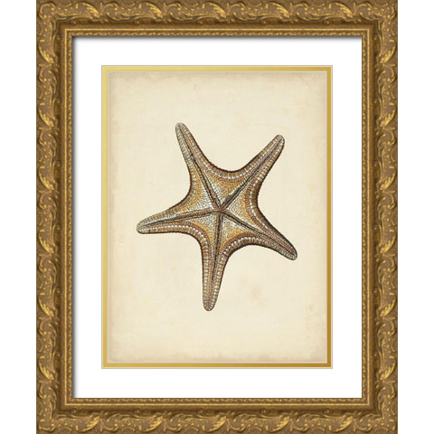 Sealife Collection IV Gold Ornate Wood Framed Art Print with Double Matting by Vision Studio