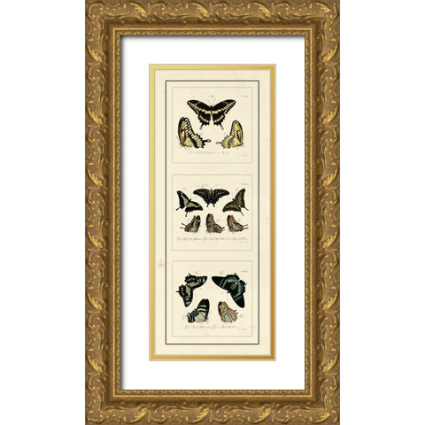 Antique Butterfly Panel II Gold Ornate Wood Framed Art Print with Double Matting by Jablonsk