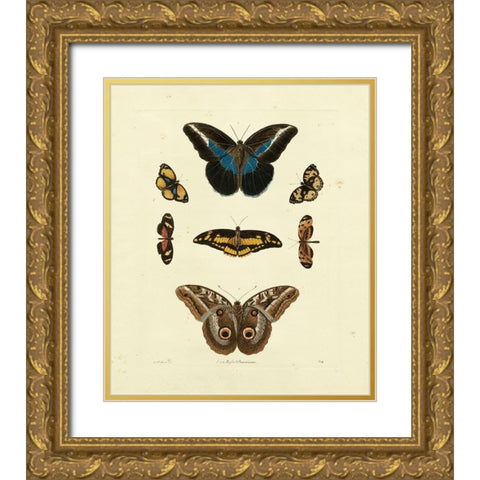 Knorr Butterflies I Gold Ornate Wood Framed Art Print with Double Matting by Knorr