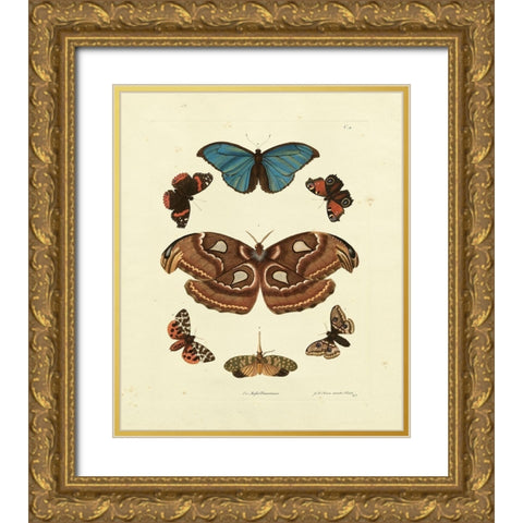 Knorr Butterflies II Gold Ornate Wood Framed Art Print with Double Matting by Knorr