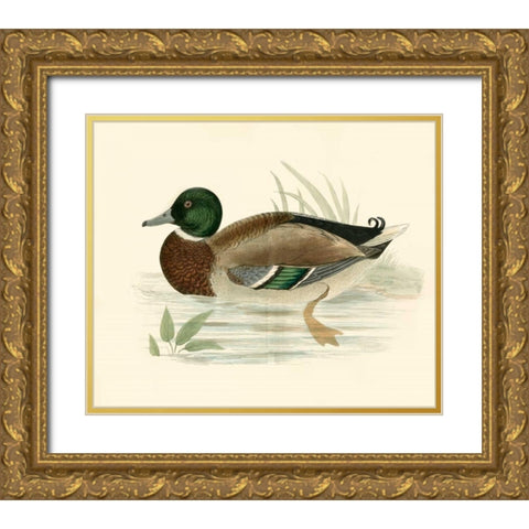Morris Ducks I Gold Ornate Wood Framed Art Print with Double Matting by Morris
