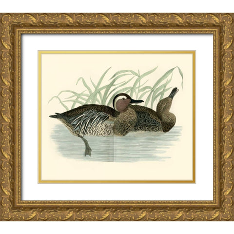 Morris Ducks II Gold Ornate Wood Framed Art Print with Double Matting by Morris