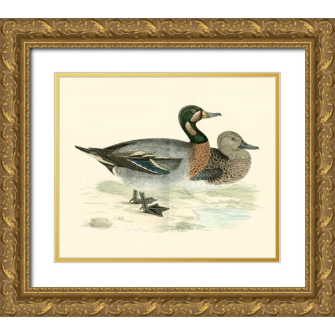 Morris Ducks III Gold Ornate Wood Framed Art Print with Double Matting by Morris