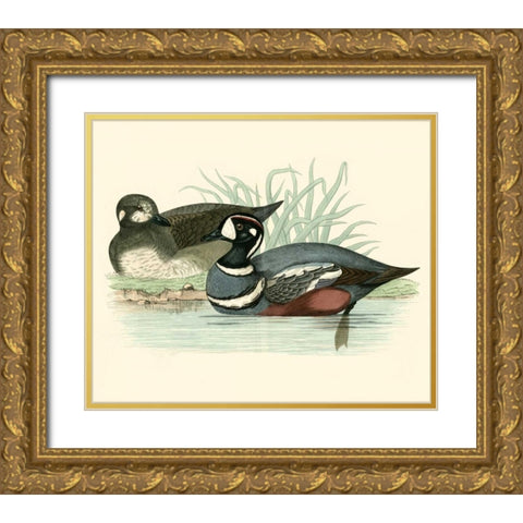 Morris Ducks IV Gold Ornate Wood Framed Art Print with Double Matting by Morris