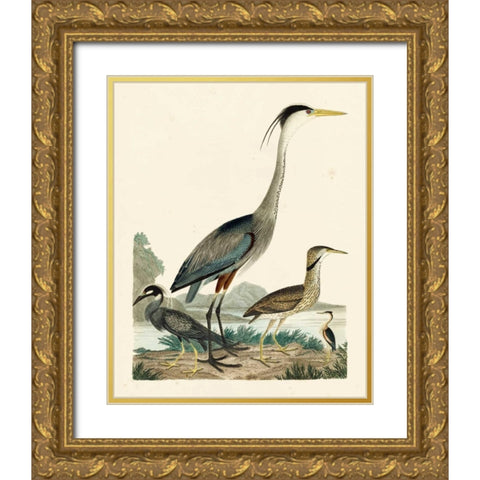 Heron Family I Gold Ornate Wood Framed Art Print with Double Matting by Wilson, A.