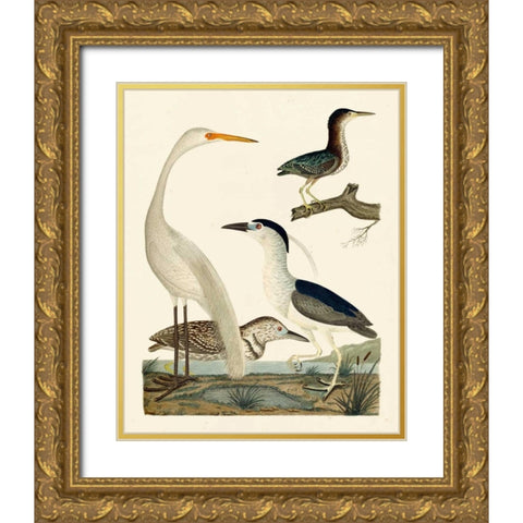 Heron Family II Gold Ornate Wood Framed Art Print with Double Matting by Wilson, A.