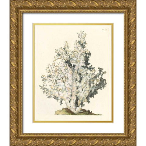 Antique Coral I Gold Ornate Wood Framed Art Print with Double Matting by Vision Studio