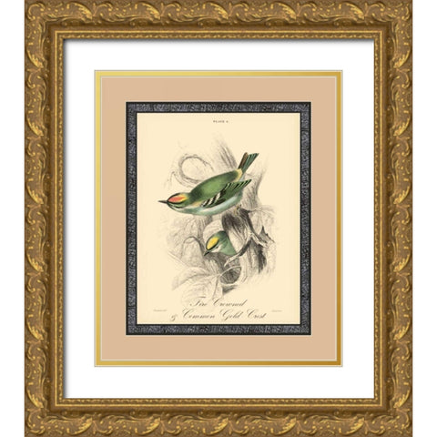 Printed Fire-Crowned Crest Gold Ornate Wood Framed Art Print with Double Matting by Apogee Art Services