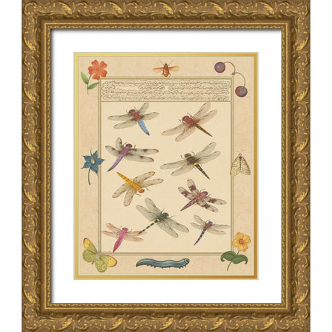 Dragonfly Manuscript III Gold Ornate Wood Framed Art Print with Double Matting by Prasad, Jaggu