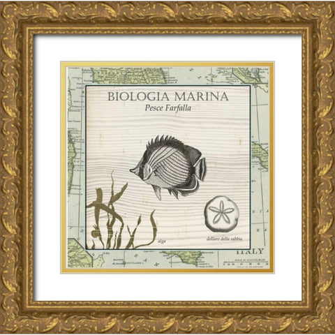 Biologia Marina I Gold Ornate Wood Framed Art Print with Double Matting by Vision Studio