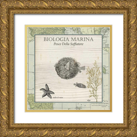 Biologia Marina II Gold Ornate Wood Framed Art Print with Double Matting by Vision Studio