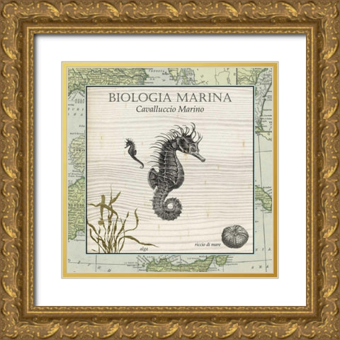 Biologia Marina III Gold Ornate Wood Framed Art Print with Double Matting by Vision Studio