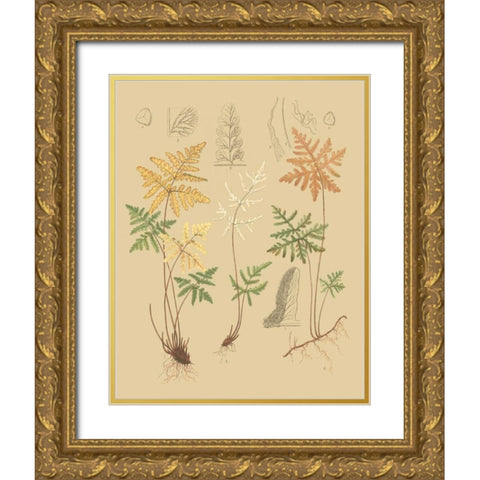 Natures Lace I Gold Ornate Wood Framed Art Print with Double Matting by Faxon, C.E.