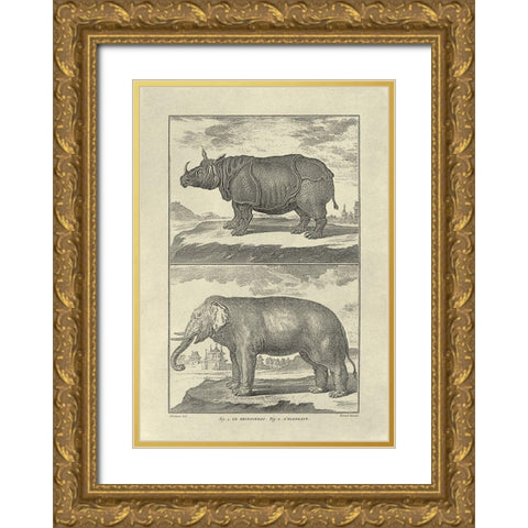 Elephant and Rhino Gold Ornate Wood Framed Art Print with Double Matting by Diderot, Denis