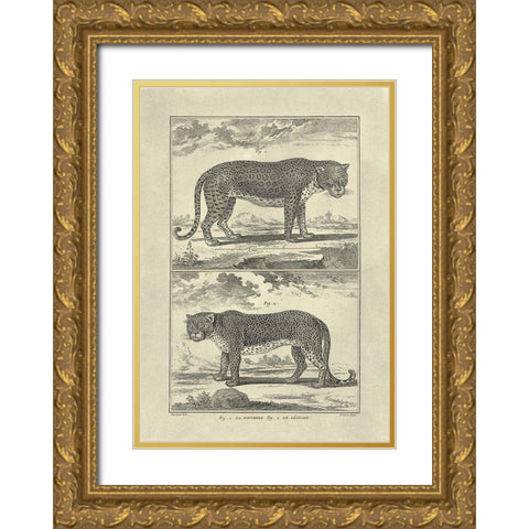 Panther and Leopard Gold Ornate Wood Framed Art Print with Double Matting by Diderot, Denis
