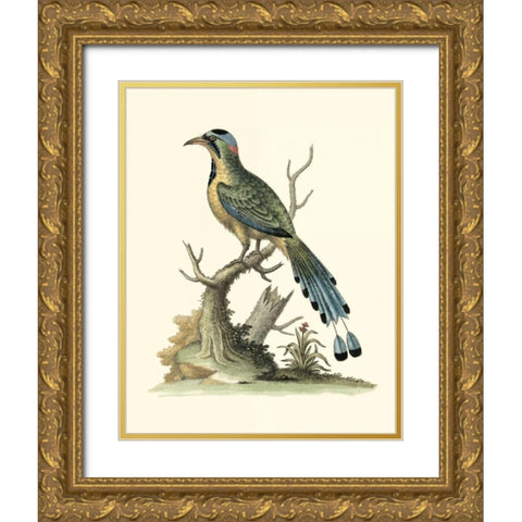 Poised in Nature II Gold Ornate Wood Framed Art Print with Double Matting by Edwards, George