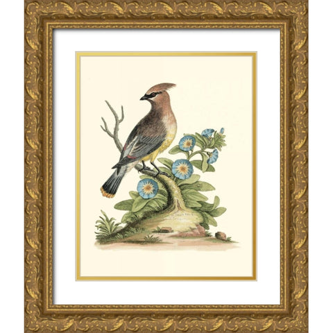 Poised in Nature III Gold Ornate Wood Framed Art Print with Double Matting by Edwards, George