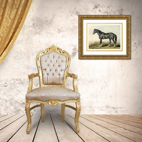 Cassells Horse II Gold Ornate Wood Framed Art Print with Double Matting by Cassel