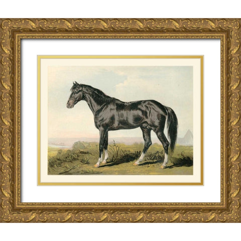 Cassells Horse II Gold Ornate Wood Framed Art Print with Double Matting by Cassel