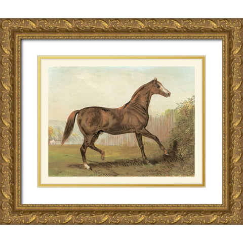 Cassells Horse III Gold Ornate Wood Framed Art Print with Double Matting by Cassel
