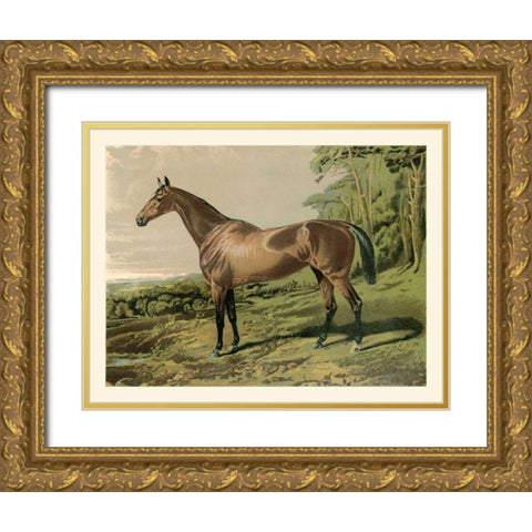 Cassells Horse IV Gold Ornate Wood Framed Art Print with Double Matting by Cassel
