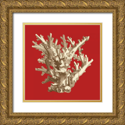 Coral on Red I Gold Ornate Wood Framed Art Print with Double Matting by Vision Studio