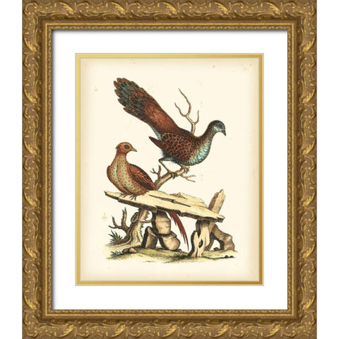 Regal Pheasants I Gold Ornate Wood Framed Art Print with Double Matting by Edwards, George