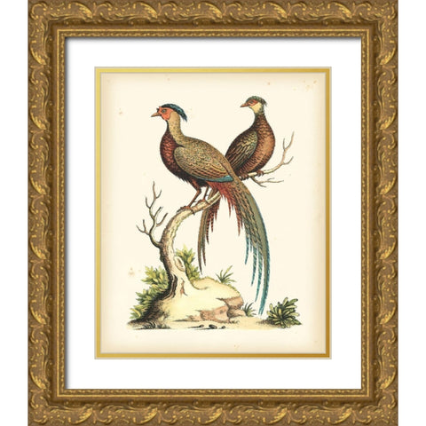 Regal Pheasants II Gold Ornate Wood Framed Art Print with Double Matting by Edwards, George