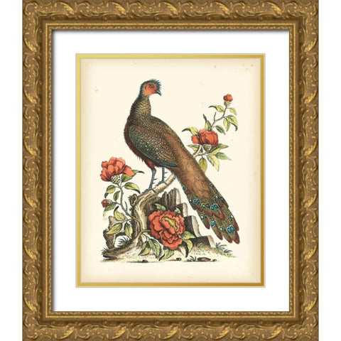 Regal Pheasants III Gold Ornate Wood Framed Art Print with Double Matting by Edwards, George