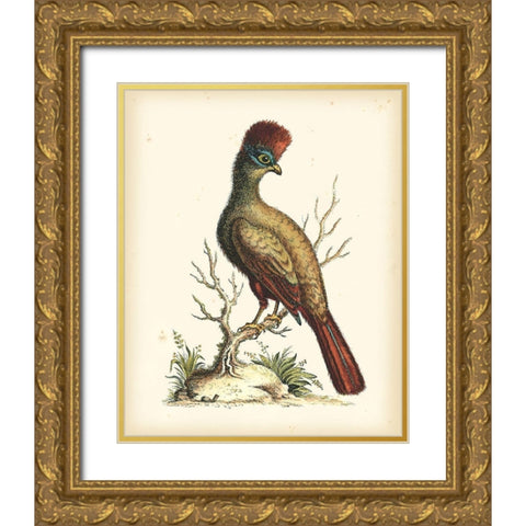 Regal Pheasants IV Gold Ornate Wood Framed Art Print with Double Matting by Edwards, George