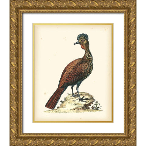 Regal Pheasants V Gold Ornate Wood Framed Art Print with Double Matting by Edwards, George