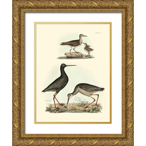 Selby Sandpipers I Gold Ornate Wood Framed Art Print with Double Matting by Selby, John