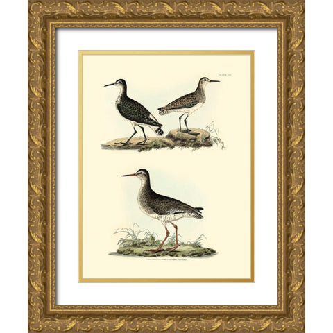 Selby Sandpipers II Gold Ornate Wood Framed Art Print with Double Matting by Selby, John