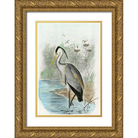 Oversize Common Heron Gold Ornate Wood Framed Art Print with Double Matting by unknown
