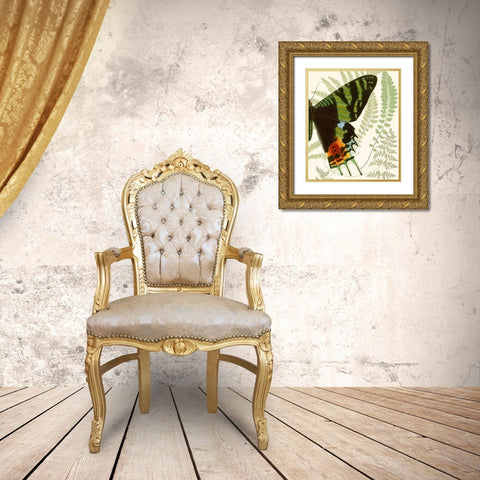 Butterfly Symmetry II Gold Ornate Wood Framed Art Print with Double Matting by Vision Studio