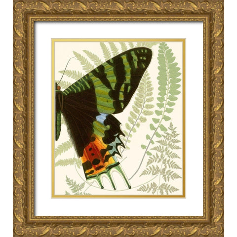 Butterfly Symmetry II Gold Ornate Wood Framed Art Print with Double Matting by Vision Studio