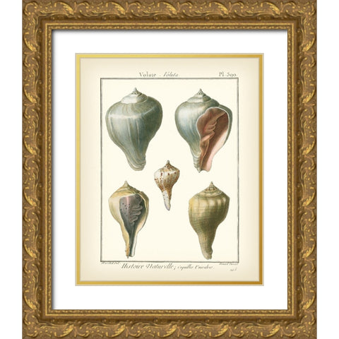 Volute Shells  Pl.390 Gold Ornate Wood Framed Art Print with Double Matting by Diderot, Denis