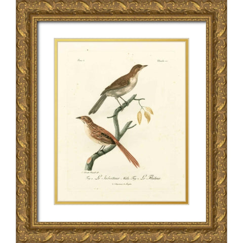 Antique French Birds I Gold Ornate Wood Framed Art Print with Double Matting by de Langlois