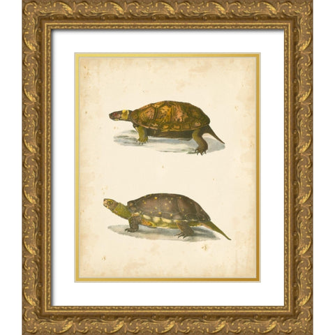 Turtle Duo I Gold Ornate Wood Framed Art Print with Double Matting by Hill, J.W.