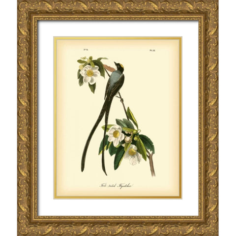 Fork-tailed Flycatcher Gold Ornate Wood Framed Art Print with Double Matting by Audubon, John James