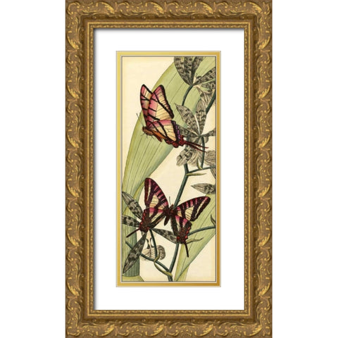 Butterfly Beauty II Gold Ornate Wood Framed Art Print with Double Matting by Vision Studio