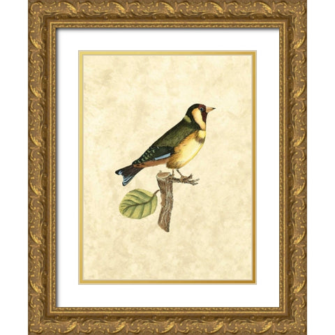 Selby Birds I Gold Ornate Wood Framed Art Print with Double Matting by Selby, John