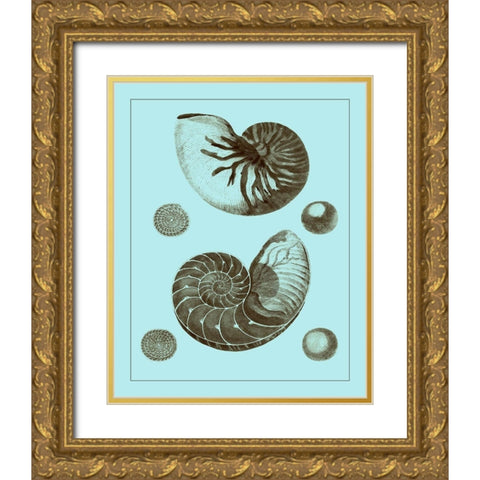 Tinted Shells on Aqua I Gold Ornate Wood Framed Art Print with Double Matting by Vision Studio