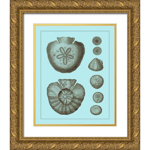 Tinted Shells on Aqua III Gold Ornate Wood Framed Art Print with Double Matting by Vision Studio