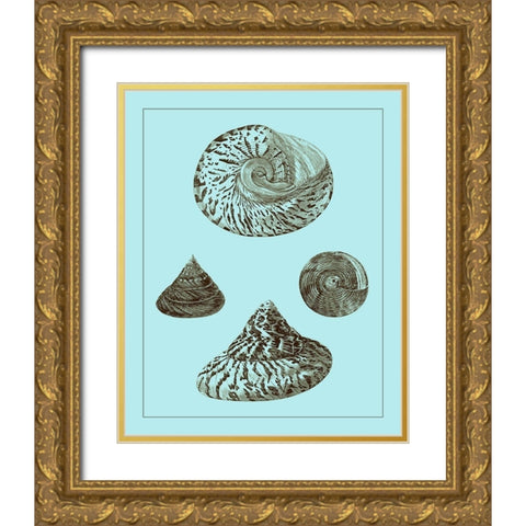 Tinted Shells on Aqua IV Gold Ornate Wood Framed Art Print with Double Matting by Vision Studio