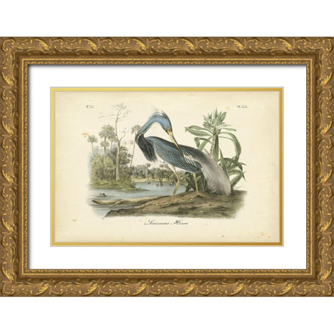 Audubons Louisiana Heron Gold Ornate Wood Framed Art Print with Double Matting by Audubon, John James