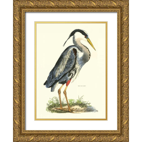 Great Blue Heron Gold Ornate Wood Framed Art Print with Double Matting by Selby, John