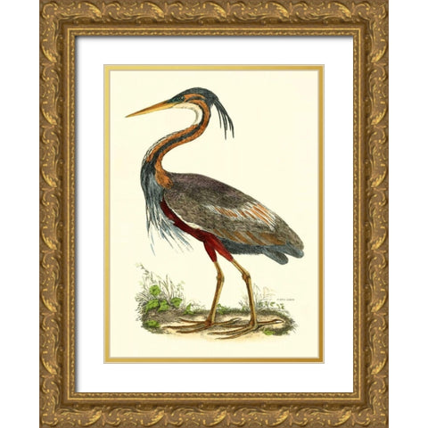Purple Heron Gold Ornate Wood Framed Art Print with Double Matting by Selby, John
