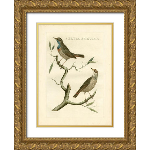 Nozeman Birds II Gold Ornate Wood Framed Art Print with Double Matting by Nozeman