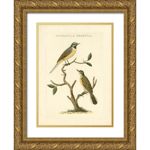 Nozeman Birds III Gold Ornate Wood Framed Art Print with Double Matting by Nozeman